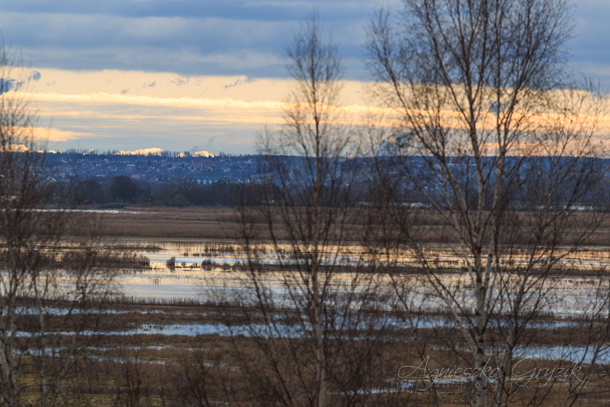 Beka - rezerwat przyrody