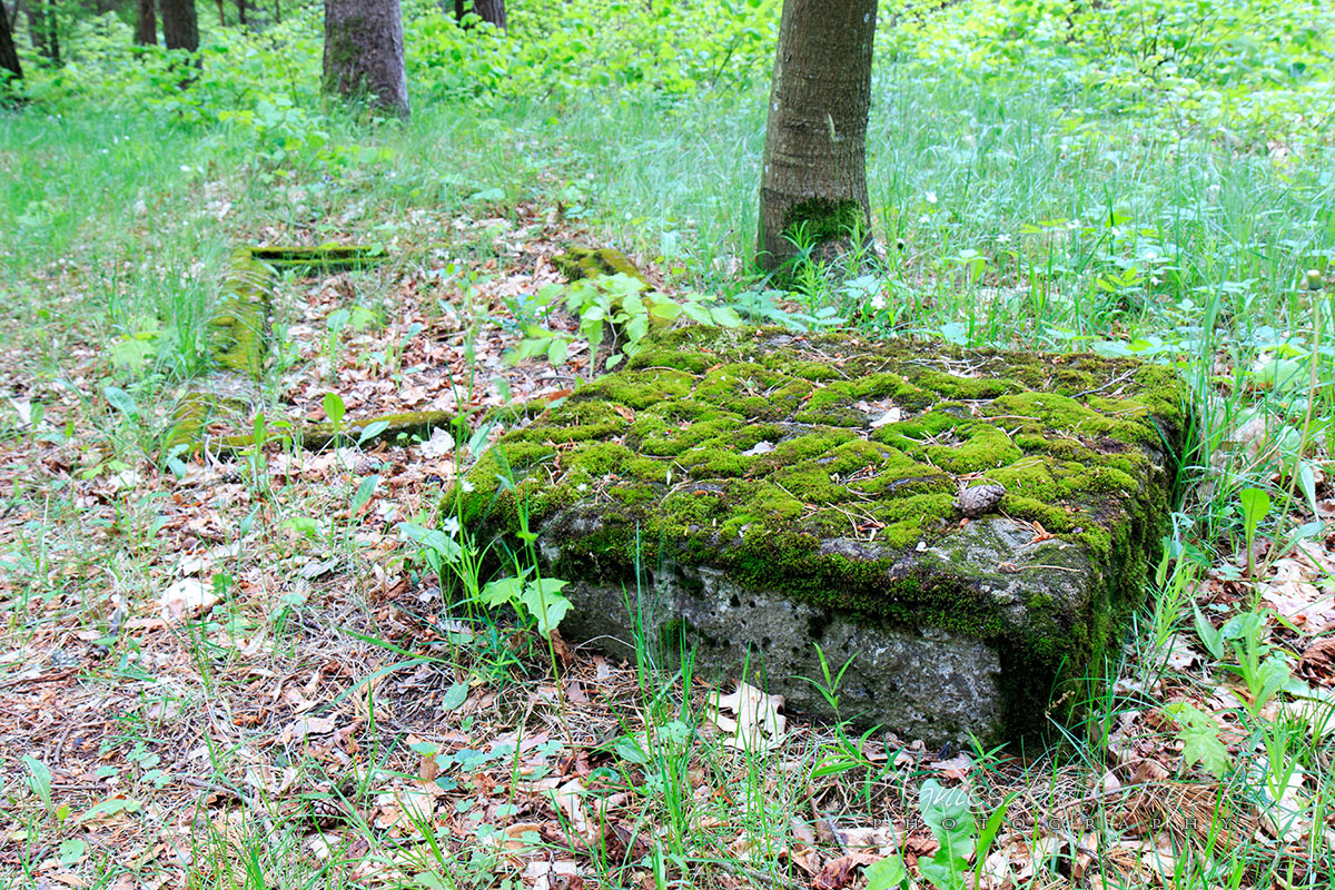 Cmentarz żydowski - Wejherowo/Bolszewo