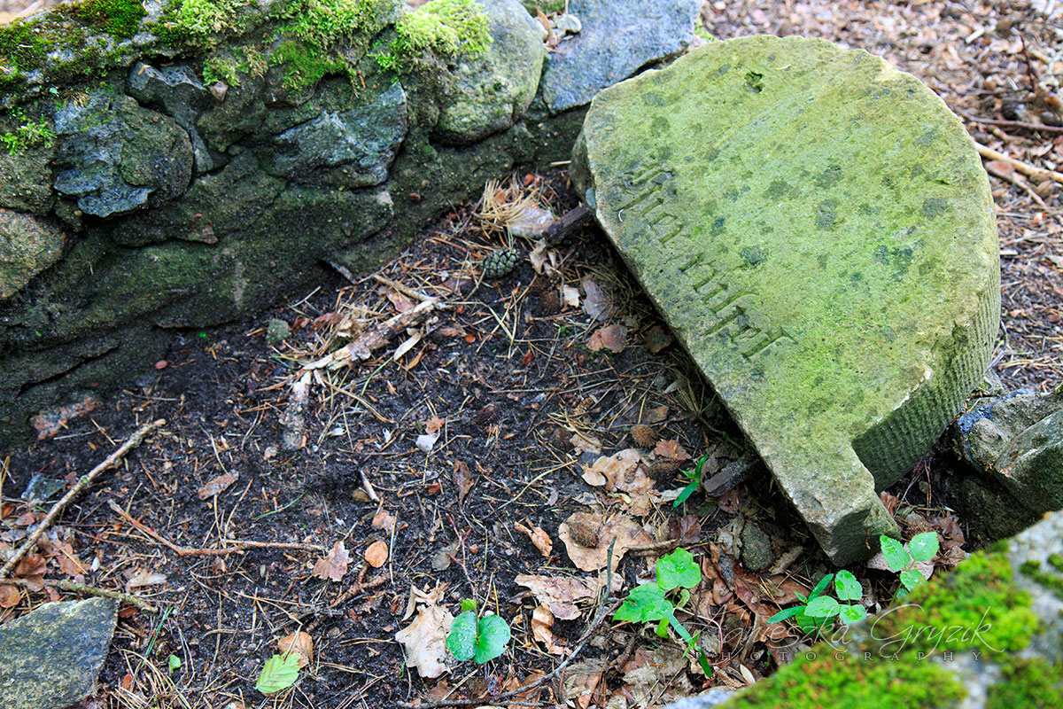 Cmentarz żydowski - Wejherowo/Bolszewo