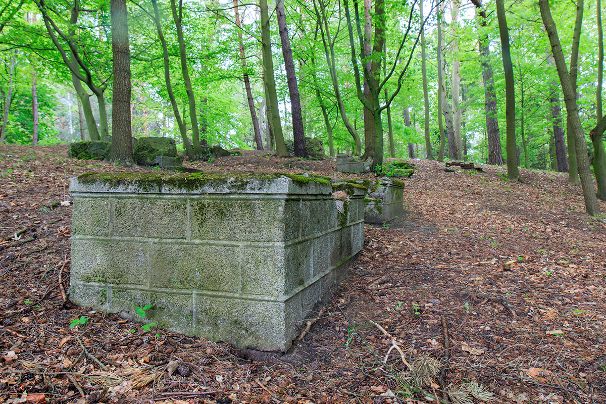Cmentarz żydowski - Wejherowo/Bolszewo