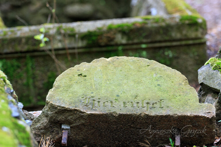Cmentarz żydowski - Wejherowo/Bolszewo