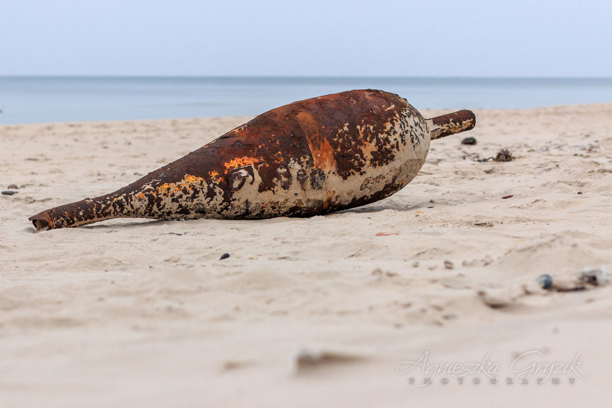 Czołpino - zatopiony las