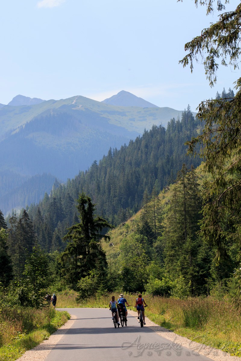 Kościelisko, Dolina Chochołowska