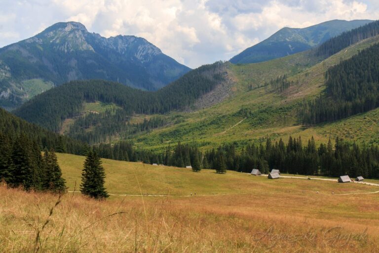 Kościelisko, Dolina Chochołowska