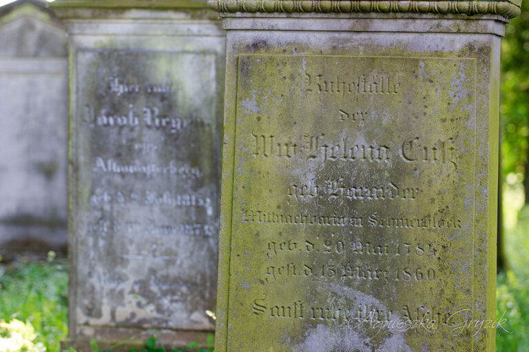 Cmentarz mennonicki w Stogach Malborskich